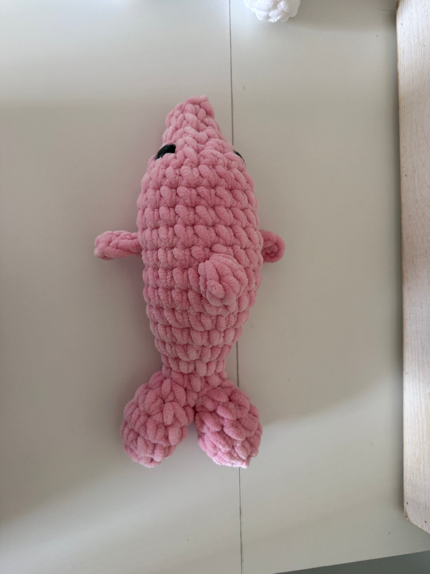 Tranquil Tide Dolphin