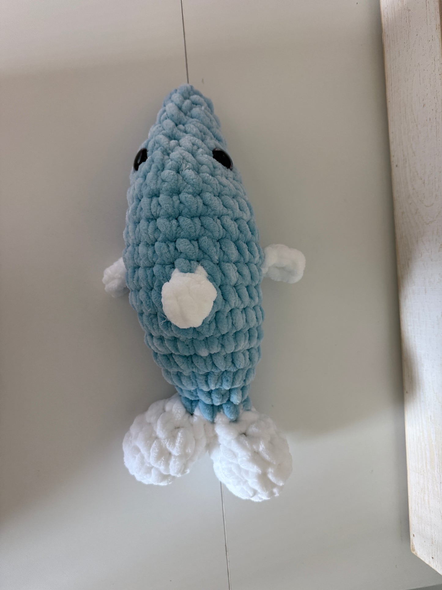 Tranquil Tide Dolphin